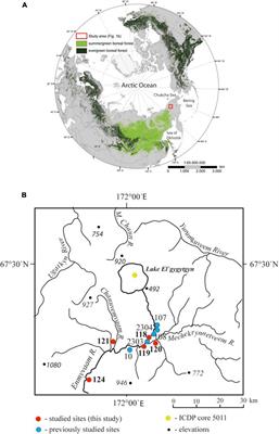 The Environment at Lake El’gygytgyn Area (Northeastern Russian Arctic) Prior to and After the Meteorite Impact at 3.58 Ma